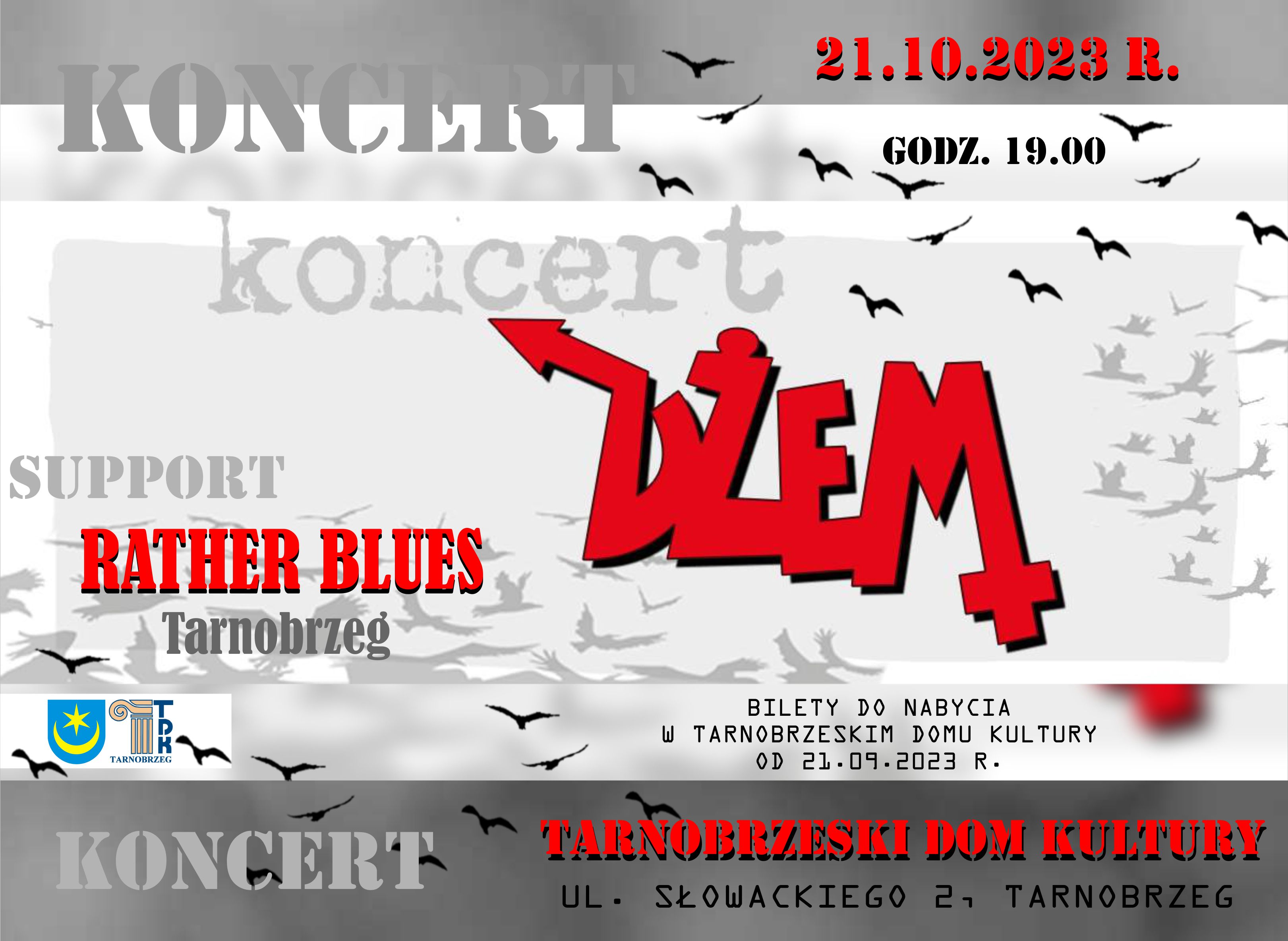 Dżem i Rather Blues wystąpią na scenie TDK. Rusza nowy tarnobrzeski projekt – Rock TDK!