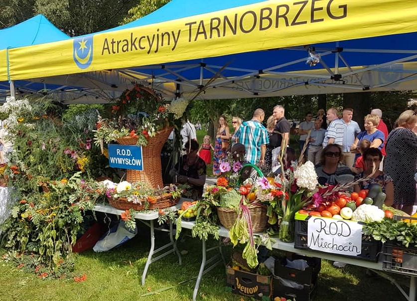 Święto plonów z nagrodami dla ROD-ów i pamięcią o ochotnikach dzikowskich