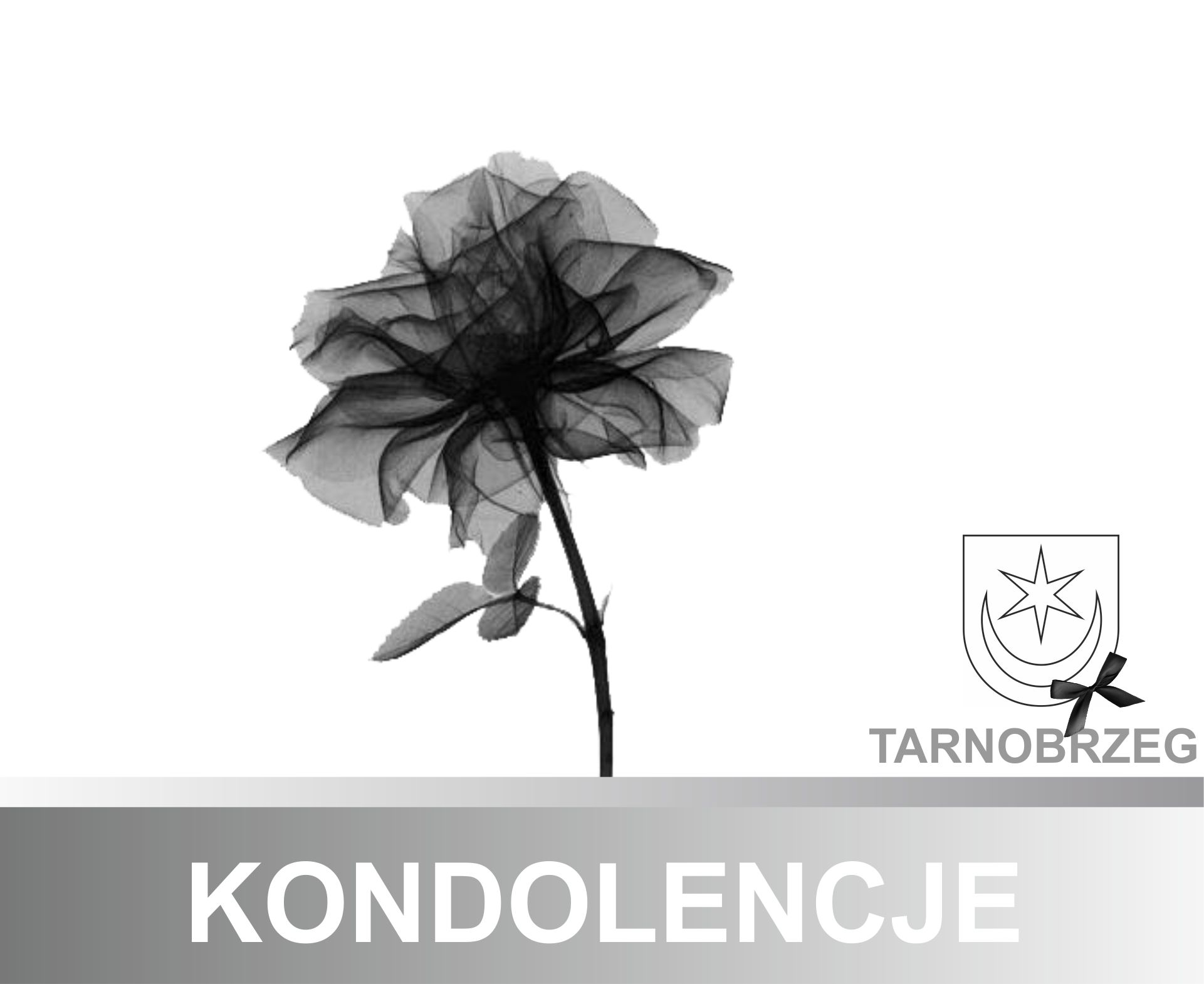 Kondolencje dla bliskich  śp. Marka Ożgi, radnego Rady Powiatu Tarnobrzeskiego
