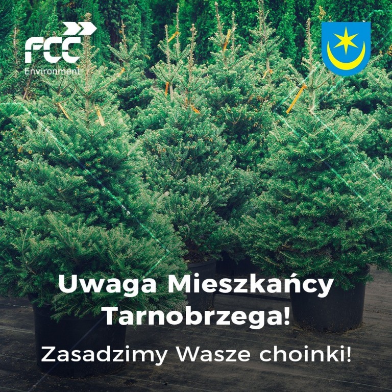 Zasadzimy choinki mieszkańców Tarnobrzega